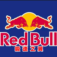 极限速度之旅头像