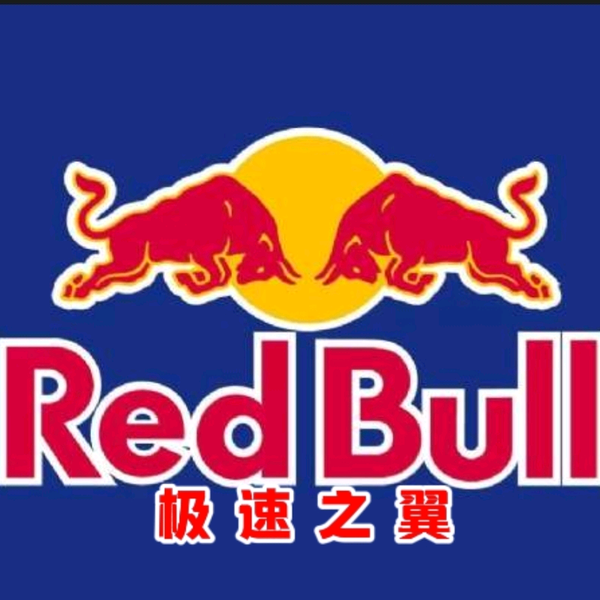 极限速度之旅头像