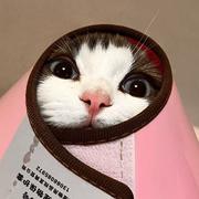 用户3512211960459的个人资料头像