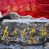千佛山上一棵草头像