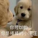 宠溺T头像