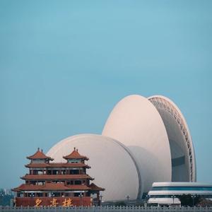 小白头像