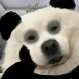 用户6626954618126头像