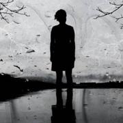 Sunrise471的个人资料头像