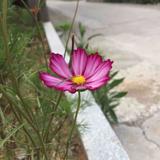 kkzb666头像