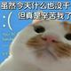 于我lure头像