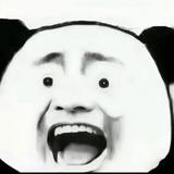 腥猫丶不吃鱼头像