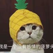 一个没有感情的菠萝头的个人资料头像