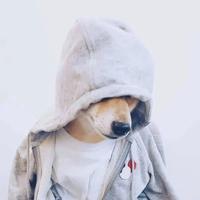 H涵皙头像