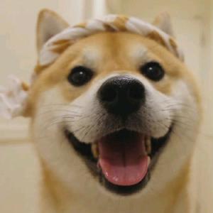 濠视频头像