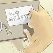 渔戈的个人资料头像