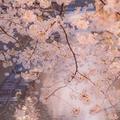 丶林川头像