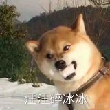晚风十头像