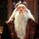 Dumbledore805头像