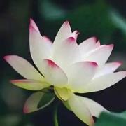 tmjpd的个人资料头像