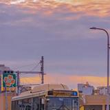 浅笑伊人落红尘187头像