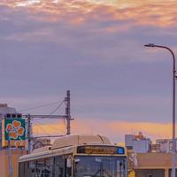 浅笑伊人落红尘187头像