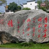 冯兄话吉716头像