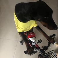 用户2906951758876头像