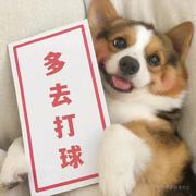 阿辰N的个人资料头像