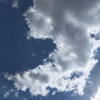 浪翻云988头像