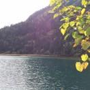 Trump镇川的个人资料头像