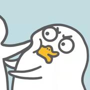 如初301的个人资料头像