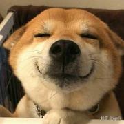 安眠药本药的个人资料头像