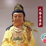 黄金海岸325头像