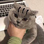 愤怒的在一的个人资料头像