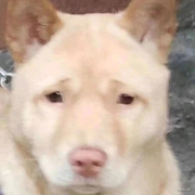 拾光丨丶的个人资料头像