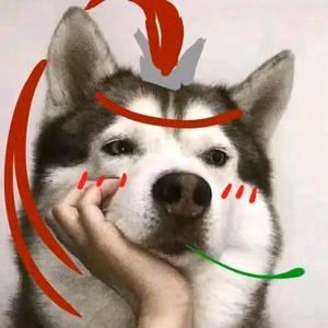 双梦最野的狗头像