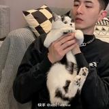 baijie头像
