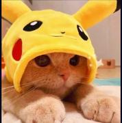 LEOBOD的个人资料头像