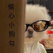 快乐星球小霸王的个人资料头像