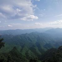 初心不忘8745头像