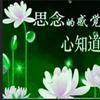 用户2746663238489头像