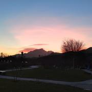 Leibniz的个人资料头像