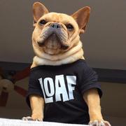 HTWOO的个人资料头像