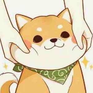 王牌突击手丶追风头像