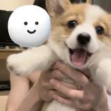 用户4684883338184头像