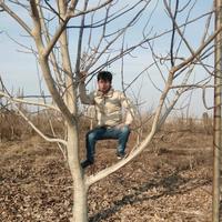 冬天的季节426头像