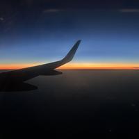 友爱艺术家Ouf头像