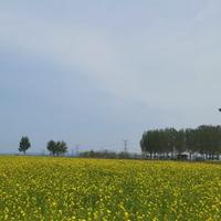 用户530379403144头像