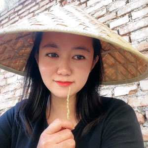 随风无谓头像