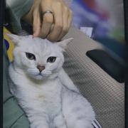 you815的个人资料头像