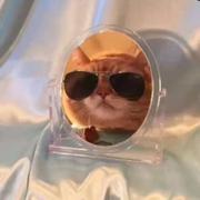 九江的个人资料头像