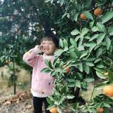 小雨婷头像
