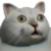 谢毅363的个人资料头像