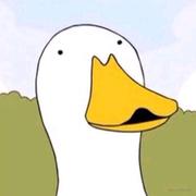 一个代码佬的个人资料头像
